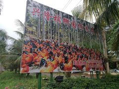 -兴隆槟榔园休闲农庄