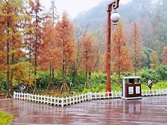 -重庆彩云湖湿地公园