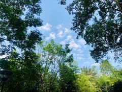 -旅马餐厅(茅家埠店)