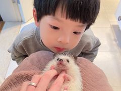-藦茜花园宠物主题亲子互动体验馆(国顺东路店)