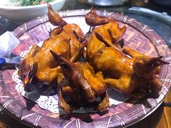-石岐乳鸽村(南海第三分店)