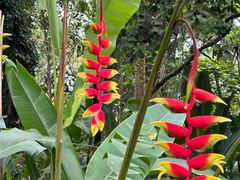 -中国科学院西双版纳热带植物园