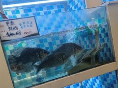 -野渡坡·极致湘菜·庭院餐厅(汉阳店)