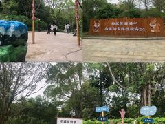 -梅州雁山湖国际花园度假区
