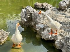 -祝家花園(伯渎港店)