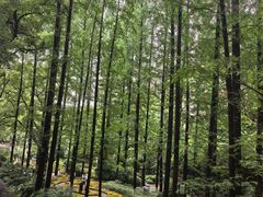 -忠山公园