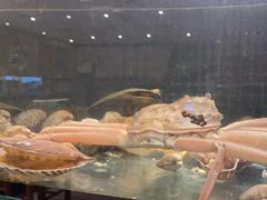 -万鱼亭 日本料理(无锡香山名园店)