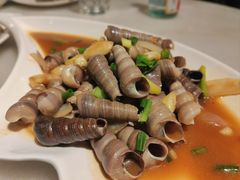 姜葱炒丁螺-华盛丰温州大排档(东三环南路店)