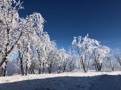-中旅松花湖滑雪场