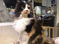 -小时光咖啡馆(开森度假森林店)