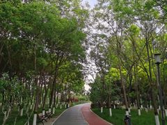 -大兴滨河森林公园