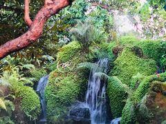 -Chom Cafe and Restaurant