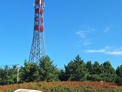 -羊亭河湿地公园