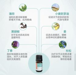 -东方美美容SPA会所