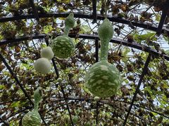 -中国天府农业博览园