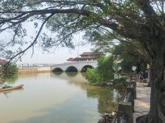-大湾区中央湿地公园