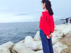 -龙头岩(Dragon Head Rock)