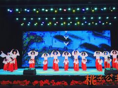 -桃子公主舞蹈培训(万柳校区)
