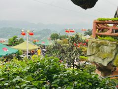 -枇杷园食为鲜火锅(南山店)