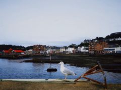 -Oban Seafood Hut..(Green Shack)