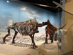 -国家自然博物馆