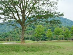 -风云岭森林公园