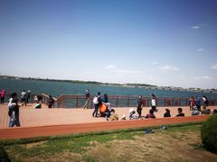 -丁香湖公园