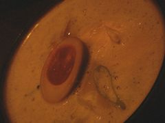 -炭火焼鳥 塚田農場(大阪梅田店)