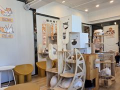 -有喵·猫咖·狗咖·40+猫狗有小奶狗(岗厦店)