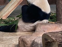 -南宁市动物园