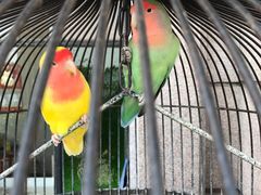 -老味道民宿(栈桥店)