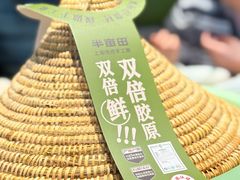 -半亩田·上海传统手工菜(新桥店)