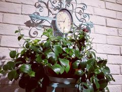 -菩提树·素食餐厅(汇智国际商业中心店)