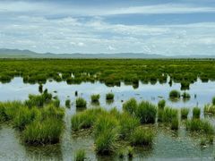 -花湖生态旅游区