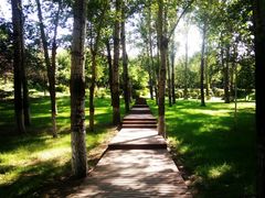 -长春世界雕塑园冰雪艺术天地