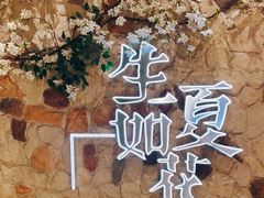 -生如夏花泰式火锅(鹭洲里店)