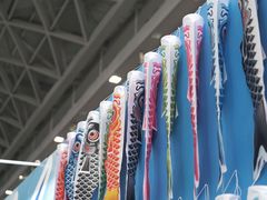 -南宁国际会展中心(会展东博文化旅游区)