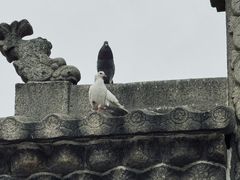 -悦城龙母祖庙