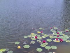 -上海海洋大学(临港校区)