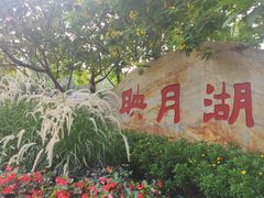 -映月湖公园