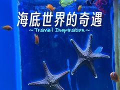 -左海海底世界