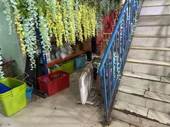 -贵宾之家宠物生活店(城阳店)