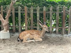 -野象谷景区