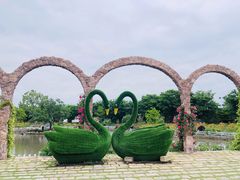 -鹅湖玫瑰文化园
