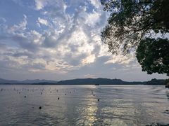 -湖滨28中餐厅·西湖宴·杭州君悦酒店