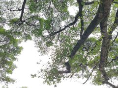 -桂林独秀峰王城景区