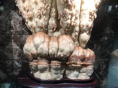 -本溪水洞