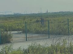 -碧海银沙景区