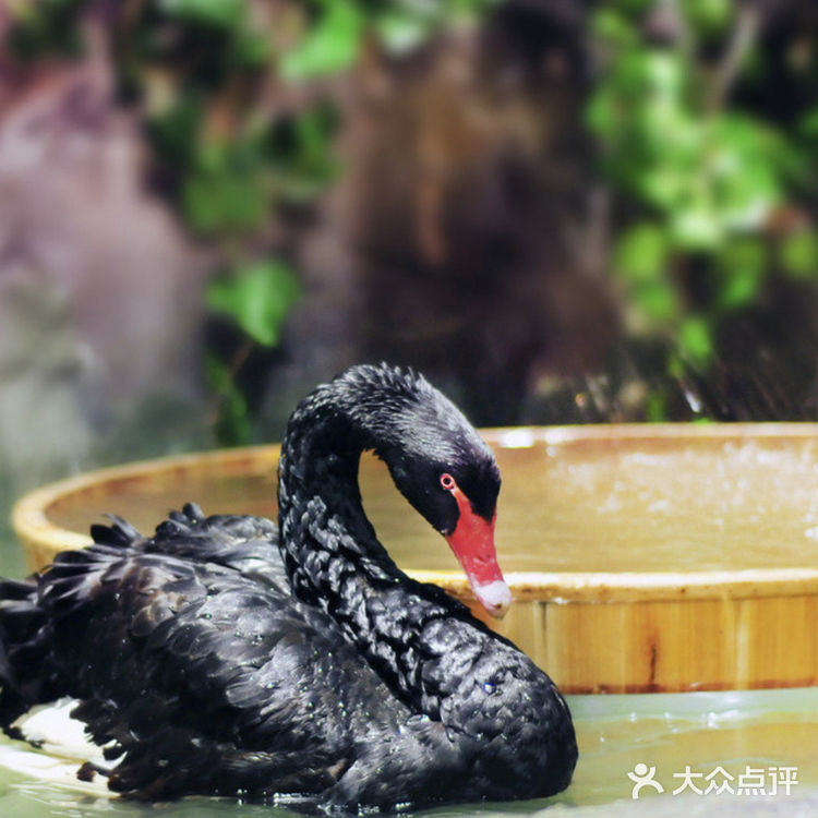 宝贝超喜欢的萌宠乐园💕,爱了爱了!