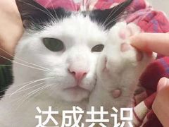 -风与炭BBQ户外火锅烧烤(成都群光君悦酒店)